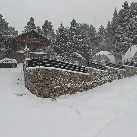 Mountain Tea * Pavliani