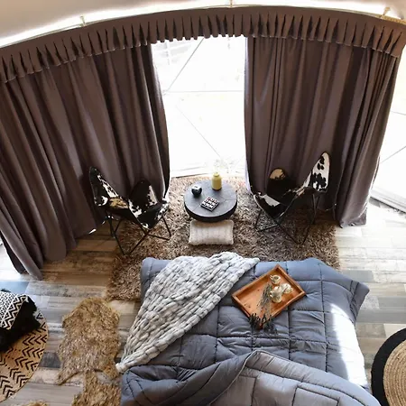 Mountain Tea * Pavliani