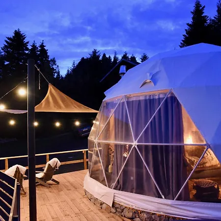 Mountain Tea Pávliani